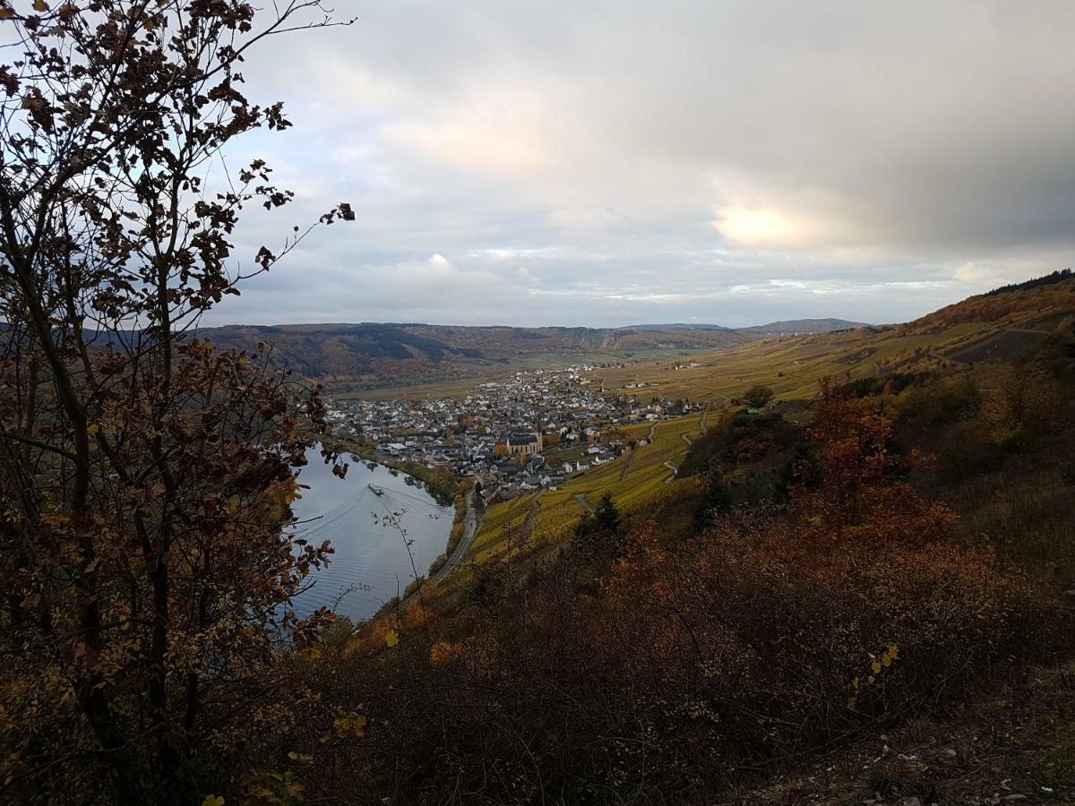 Gaestehaus Steuer Креф Экстерьер фото
