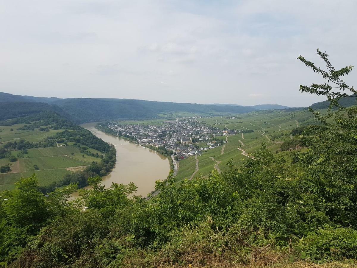 Gaestehaus Steuer Креф Экстерьер фото